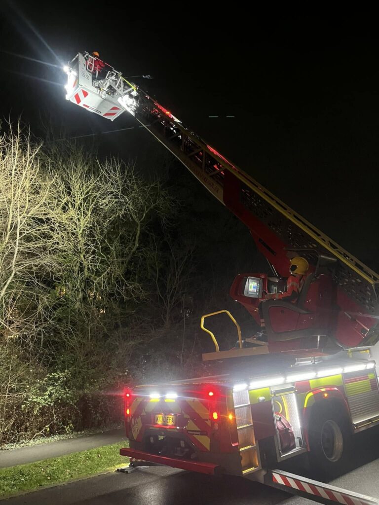 News for Peterborough and Cambridgeshire - Mission accomplished: Cottenham firefighters when they were asked to call in to Trumpington to assist in getting a 6 month old kitten out of a tall tree. PHOTO: Cottenham Community fire and rescue station