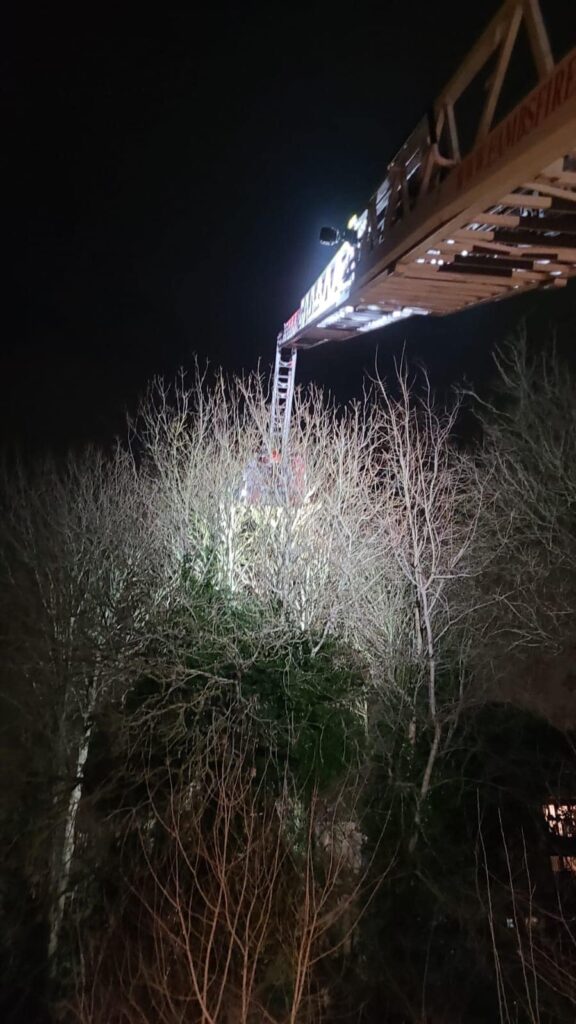 News for Peterborough and Cambridgeshire - Mission accomplished: Cottenham firefighters when they were asked to call in to Trumpington to assist in getting a 6 month old kitten out of a tall tree. PHOTO: Cottenham Community fire and rescue station