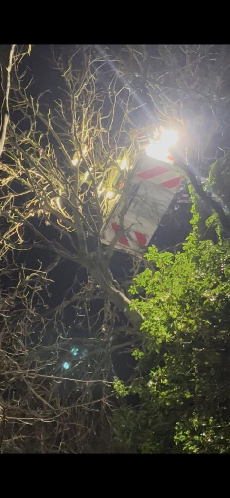 News for Peterborough and Cambridgeshire - Mission accomplished: Cottenham firefighters when they were asked to call in to Trumpington to assist in getting a 6 month old kitten out of a tall tree. PHOTO: Cottenham Community fire and rescue station