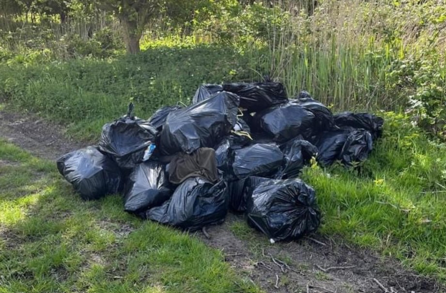 Mound of bin bags dumped in Workhouse Drove, Wimblington, led to the conviction of the householder who handed them over to a rogue trader PHOTO: Fenland District Council