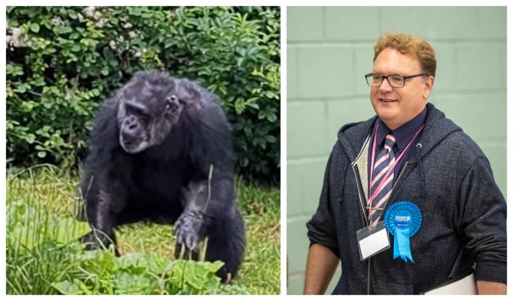 News for Peterborough and Cambridgeshire - Cllr Steve Tierney (right) invited Wisbech town councillors to observe a minute’s silence for those who died in 2024. The list included Boris (left) a 58-year-old chimpanzee. He also included a squirrel and a raccoon who died in 2024. PHOTO: Terry Harris/ Chester Zoo