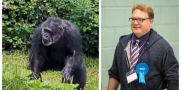 News for Peterborough and Cambridgeshire - Cllr Steve Tierney (right) invited Wisbech town councillors to observe a minute’s silence for those who died in 2024. The list included Boris (left) a 58-year-old chimpanzee. He also included a squirrel and a raccoon who died in 2024. PHOTO: Terry Harris/ Chester Zoo