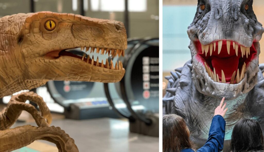 Dinosaurs may be extinct but Jurassic Arcade certainly isn’t! From Thursday 3 April to Wednesday 23 April, Grand Arcade welcomes dino lovers of all ages to step back in time for a fun-packed journey in the return of Jurassic Arcade